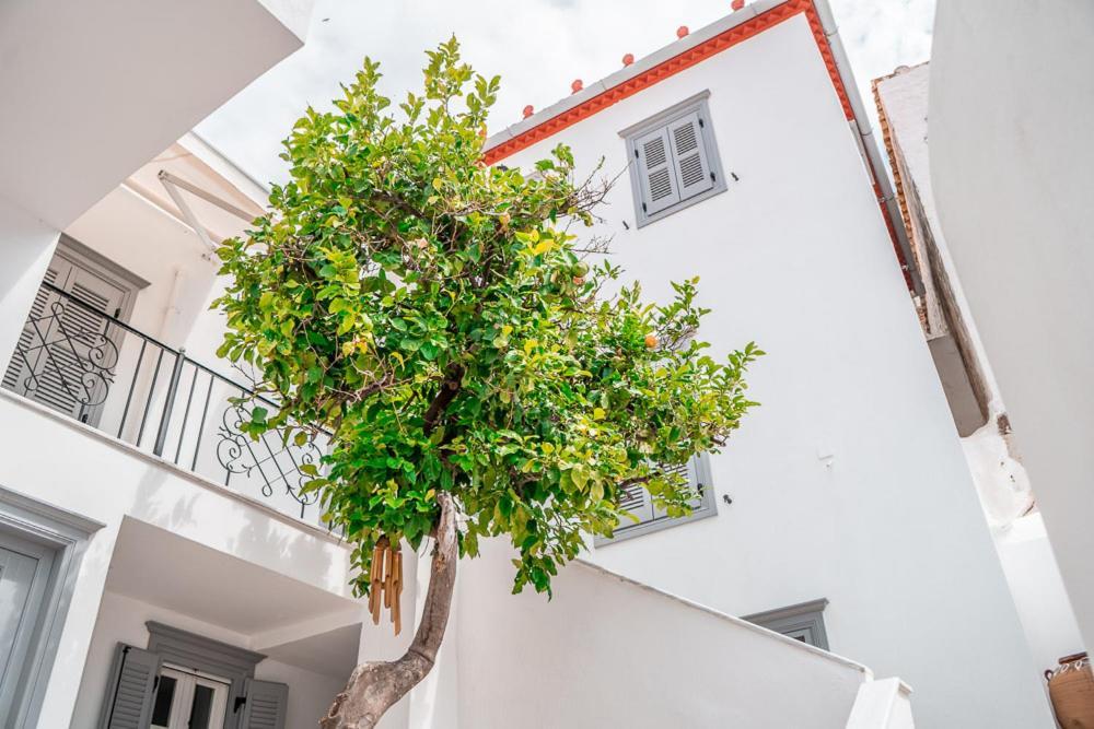 Lemon Tree - Hydra Dream Houses Ngoại thất bức ảnh